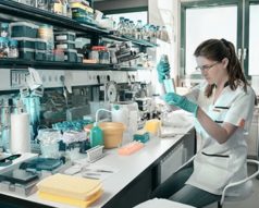 Estudiar maestría en biología molecular