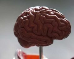 Maestría Internacional en Neuropsicología + Maestría Internacional en Deterioros Cognitivos